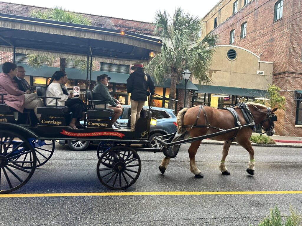 Charleston travel guide historic district