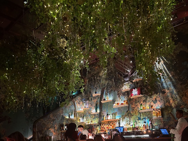 Sketch beautiful bar