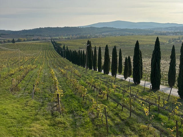 tuscany wine country